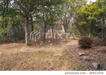 Ninomaru of Tokukura Castle, Kita Ward, Okayama City, Okayama Prefecture 88912838