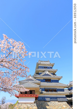 Matsumoto Castle, a national treasure of spring when cherry blossoms bloom Matsumoto Castle, a national treasure of spring when cherry blossoms bloom 88912850