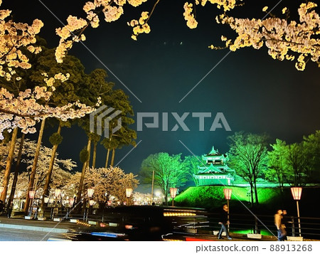Night view of Takada Castle Site Park Cherry Blossom Party Night view of Takada Castle Site Park Cherry Blossom Party 88913268