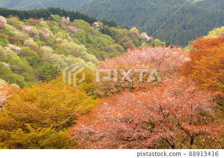 Mountain laughing Goteiyama Mountain laughing Goteiyama 88913416