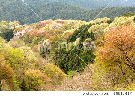 山笑護亭山 山笑護亭山 88913417