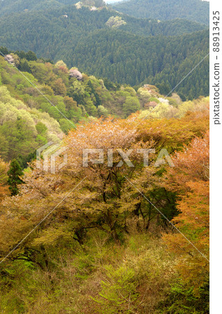 山笑護亭山 山笑護亭山 88913425