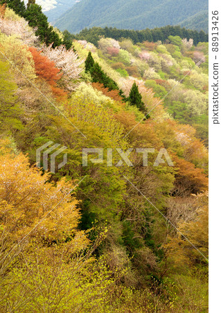 Mountain laughing Goteiyama Mountain laughing Goteiyama 88913426