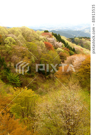 Mountain laughing Goteiyama Mountain laughing Goteiyama 88913535