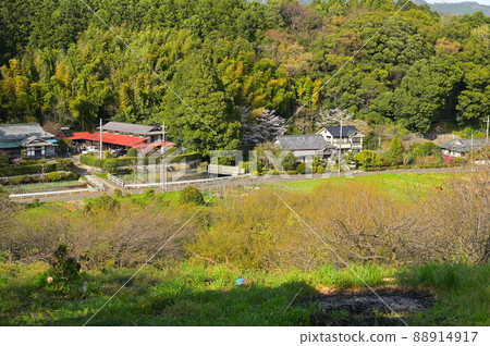 Spring countryside scenery "Minamiashigara City" Spring countryside scenery "Minamiashigara City" 88914917