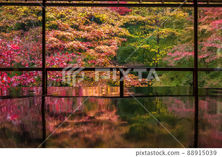 Photographing the autumn leaves of Rurikoin, a member of Kyoto Rurikoin 88915039