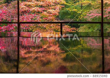 Photographing the autumn leaves of Rurikoin, a member of Kyoto Rurikoin 88915040
