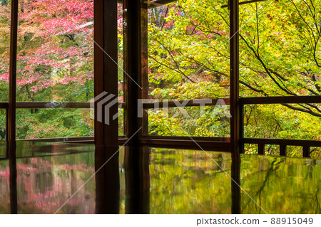 Photographing the autumn leaves of Rurikoin, a member of Kyoto Rurikoin 88915049