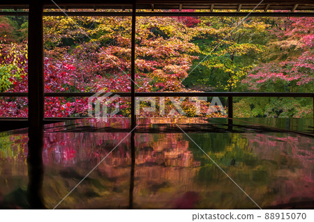 Photographing the autumn leaves of Rurikoin, a member of Kyoto Rurikoin 88915070