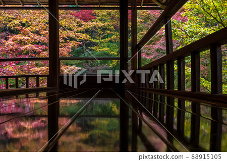 Photographing the autumn leaves of Rurikoin, a member of Kyoto Rurikoin 88915105