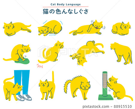 Various cat gesture illustration set 88915510