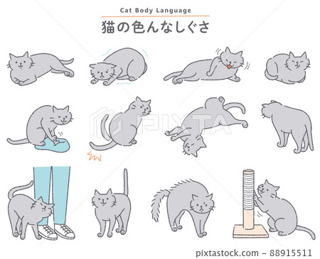 各種貓手勢插圖集 各種貓手勢插圖集 88915511
