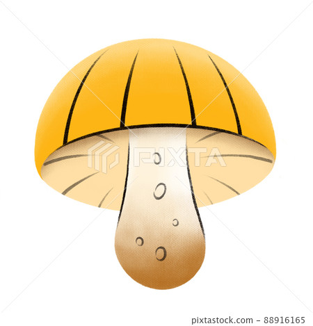 Yellow stylized mushroom drawing by hand. Textured edible mushroom. Illustration of healthy food. Sketches of autumn forest plants. Perfect for recipe, menu, label, badge, packaging, botanical Yellow stylized mushroom drawing by hand. Textured edible mushroom. Illustration of healthy food. Sketches of autumn forest plants. Perfect for recipe, menu, label, badge, packaging, botanical 88916165