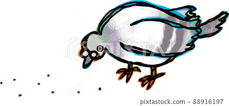 Pigeon on the left side is crouching and eating food 88916197