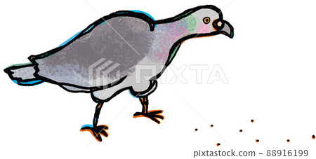 A transparent background illustration with a white frame where a rock pigeon facing to the right is eating food A transparent background illustration with a white frame where a rock pigeon facing to the right is eating food 88916199