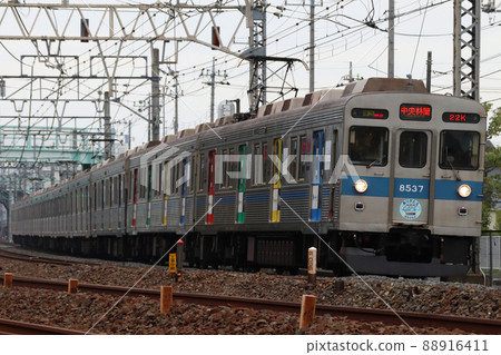 Tokyu Denentoshi Line 8500 series (blue belt: Bunkamura) just before retirement Tokyu Denentoshi Line 8500 series (blue belt: Bunkamura) just before retirement 88916411