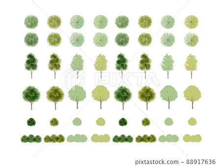 Youthful fresh green wood material [from the side] [from above] [with branches] 88917636