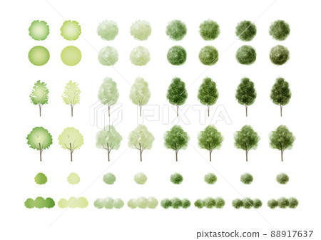 Youthful fresh green wood material [from the side] [from above] [no line] 88917637