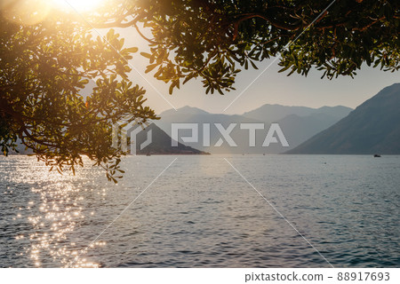 Sunset, beautiful landscape with silhouettes of trees. Travel concept. Montenegro, Kotor Bay. Sunset at Kotor Bay Montenegro. View of the sunset in Boko-Kotor Bay in Montenegro. Silhouettes of Sunset, beautiful landscape with silhouettes of trees. Travel concept. Montenegro, Kotor Bay. Sunset at Kotor Bay Montenegro. View of the sunset in Boko-Kotor Bay in Montenegro. Silhouettes of 88917693