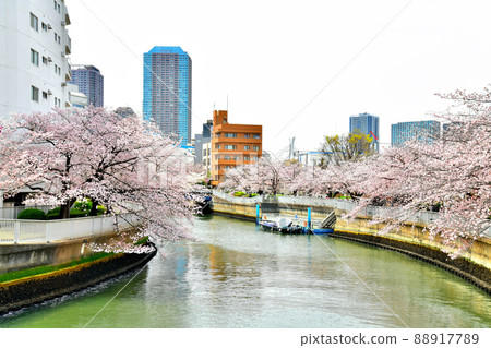 從國船橋/大橫川看越中島橋（東京都江東區）[2022.4] 88917789
