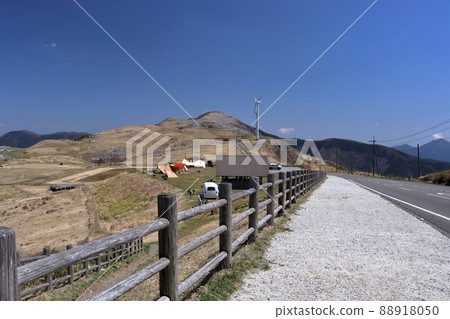 春季四國喀斯特（愛媛縣姬鶴平） 88918050