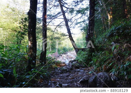 Early morning mountain trail leading to Mt. Jonen 88918129