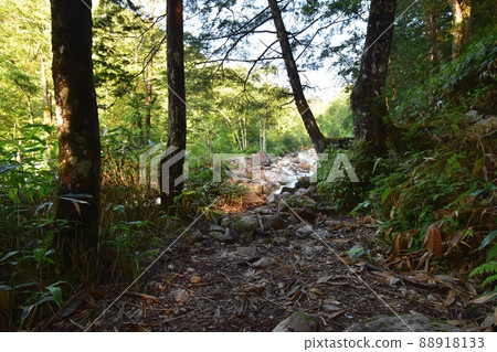 Early morning mountain trail leading to Mt. Jonen 88918133