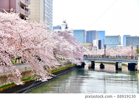 Looking toward Kokufune Bridge from Ishijima Bridge / Oyoko River (Koto-ku, Tokyo) [2022.4] 88919130