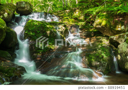 Utsue Forty-eight Waterfall Uotsue Waterfall Utsue Forty-eight Waterfall Uotsue Waterfall 88919451