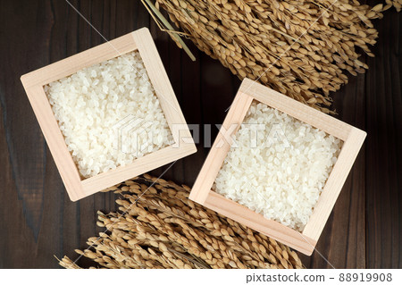 飯 飯 88919908