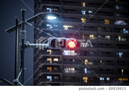 Tokyo traffic light with snow 88919913
