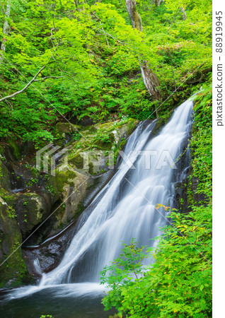 Utsue Shijuhachitaki Shimoda waterfall 88919945