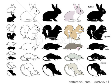 動物插圖圖標集 動物插圖圖標集 88920751