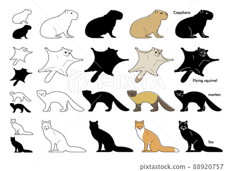 動物插圖圖標集 動物插圖圖標集 88920757