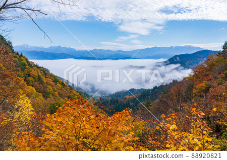 從內江四十八瀑布看到的北阿爾卑斯山和雲海 從內江四十八瀑布看到的北阿爾卑斯山和雲海 88920821