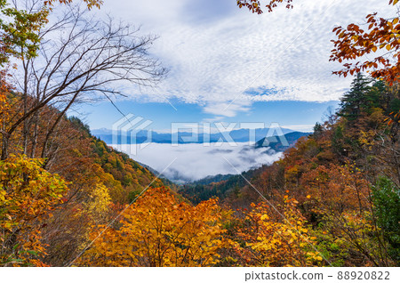 從內江四十八瀑布看到的北阿爾卑斯山和雲海 從內江四十八瀑布看到的北阿爾卑斯山和雲海 88920822