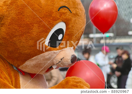 pretty, bear, bears 88920967