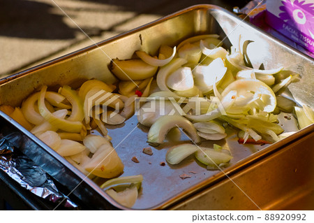 Onion Onion 88920992