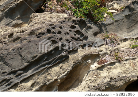 Tateyama City, Chiba Prefecture "Fault" "Ground" Tateyama City, Chiba Prefecture "Fault" "Ground" 88922090
