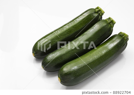 白背西葫蘆 白背西葫蘆 88922704