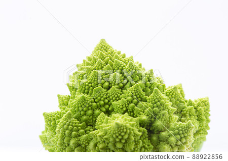 Romanesco broccoli isolated on white background. 88922856
