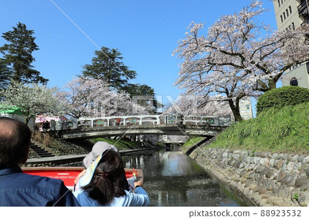 Matsukawa, a famous place for cherry blossoms in Toyama city 88923532