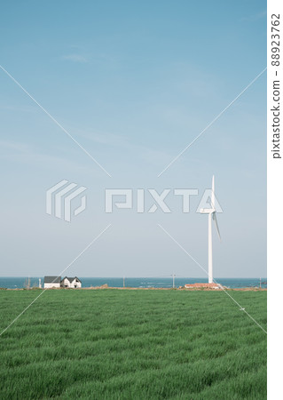 Woljeong-ri beach and meadow field, Jeju Olle Trail route 20 in Jeju island, Korea 88923762