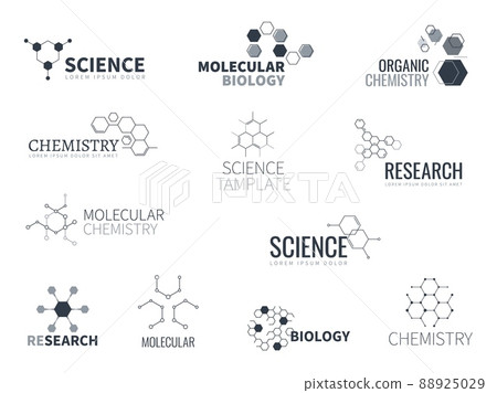 Molecular structure logo. Biological laboratory labels. Chemical connections. Particles constructions. Biology or chemistry research. Scientific text. Vector biotechnology icons set 88925029