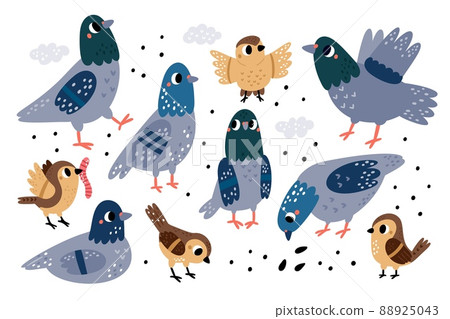 Cute city birds. Funny street sparrows and pigeons. Different poses and actions. Cartoon characters with wings and beaks. Doves pecking grains. Urban fauna. Vector feathered animals set Cute city birds. Funny street sparrows and pigeons. Different poses and actions. Cartoon characters with wings and beaks. Doves pecking grains. Urban fauna. Vector feathered animals set 88925043