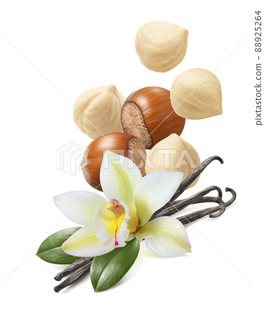 Flying hazelnuts, vanilla flowers and beans isolated on white background 88925264