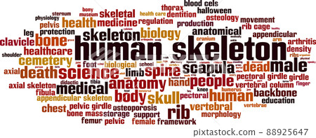 Human skeleton word cloud Human skeleton word cloud 88925647