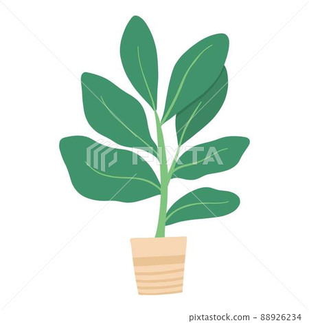 Tropical house plant pot. Ficus, monstera, protea, pellaea, succulent in various pot, vase. Scandinavian cozy home decor. Flat vector cartoon illustration isolated on white background 88926234