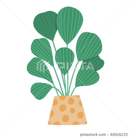 Tropical house plant pot. Ficus, monstera, protea, pellaea, succulent in various pot, vase. Scandinavian cozy home decor. Flat vector cartoon illustration isolated on white background 88926235