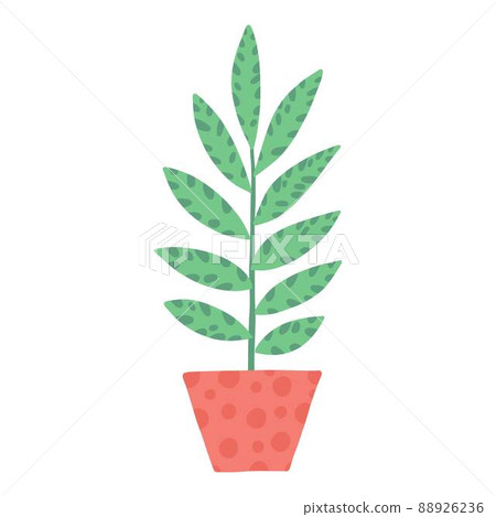 Tropical house plant pot. Ficus, monstera, protea, pellaea, succulent in various pot, vase. Scandinavian cozy home decor. Flat vector cartoon illustration isolated on white background 88926236